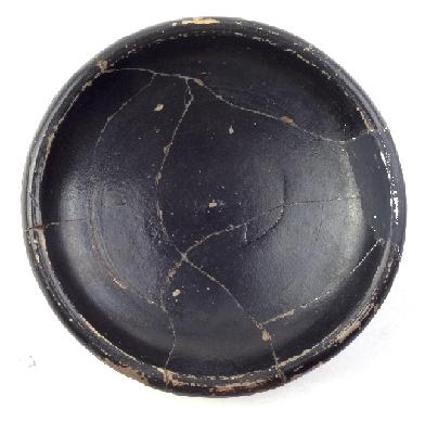 Marian Venceslá Delgado (CERES)